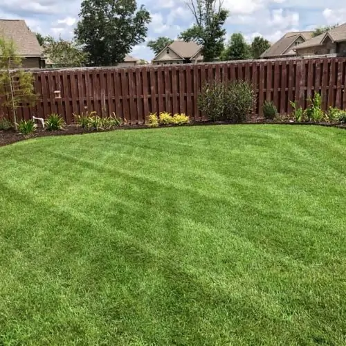 Lawn Care & Maintenance