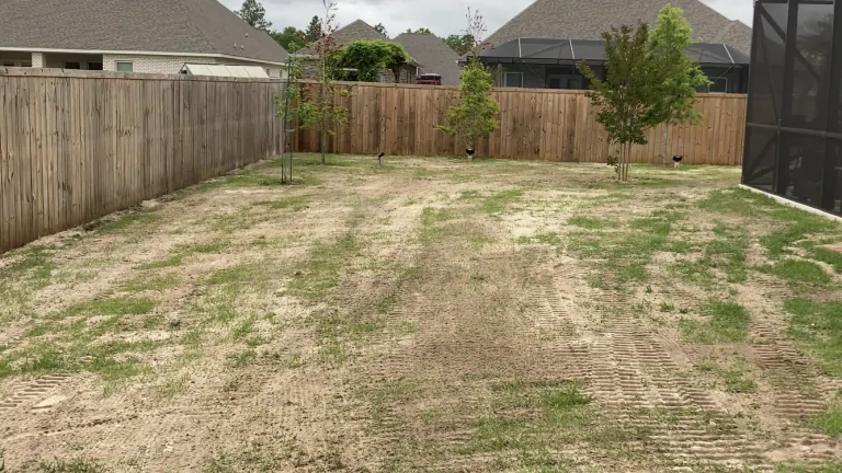 Yard after sod and landscape work