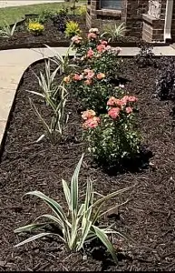 Landscape Bed Maintenance