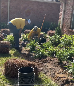 Screenshot 2026 01 16 at 5.56.20 AM